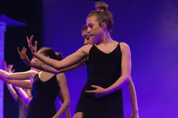 Photos Spectacles École de danse 2019